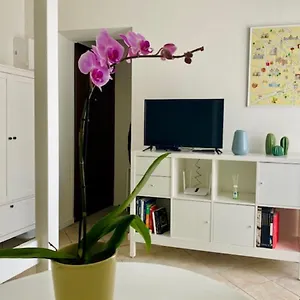 https://delizioso-monolocale-milano-gambara.italymilanhotels.net